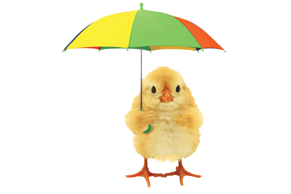 covered-loan-ireland